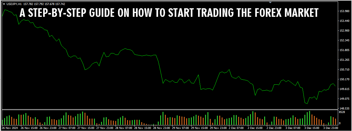 A Step By Step Guide On How To Start Trading The Forex Market